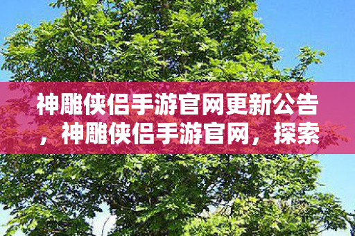 神雕侠侣手游官网更新公告，神雕侠侣手游官网，探索金庸武侠世界的奇幻之旅
