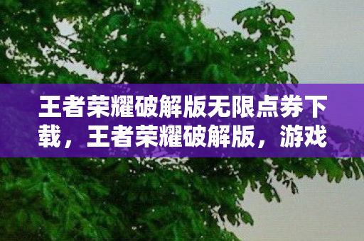 王者荣耀破解版无限点券下载，王者荣耀破解版，游戏内外探秘