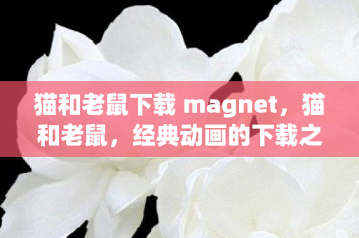 猫和老鼠下载 magnet，猫和老鼠，经典动画的下载之旅