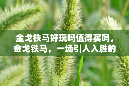 金戈铁马好玩吗值得买吗，金戈铁马，一场引人入胜的历史战争游戏