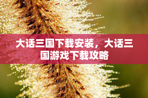 大话三国下载安装，大话三国游戏下载攻略