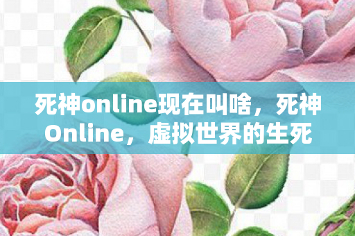 死神online现在叫啥，死神Online，虚拟世界的生死博弈
