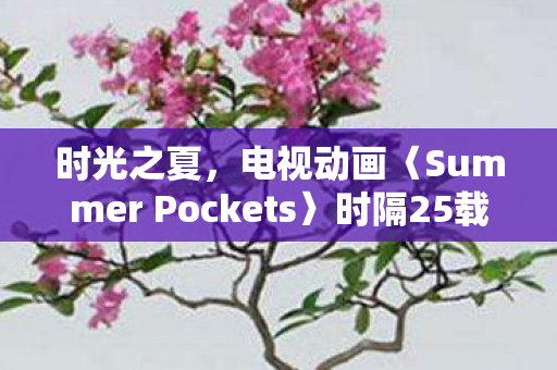 时光之夏，电视动画〈Summer Pockets〉时隔25载再度启航，全新影片震撼发布