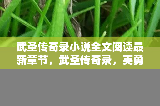 武圣传奇录小说全文阅读最新章节，武圣传奇录，英勇传奇的史诗之旅