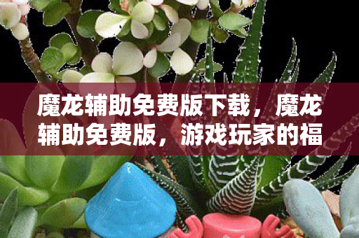 魔龙辅助免费版下载，魔龙辅助免费版，游戏玩家的福音