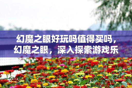 幻魔之眼好玩吗值得买吗，幻魔之眼，深入探索游戏乐趣的神奇之旅