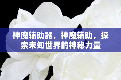神魔辅助器，神魔辅助，探索未知世界的神秘力量