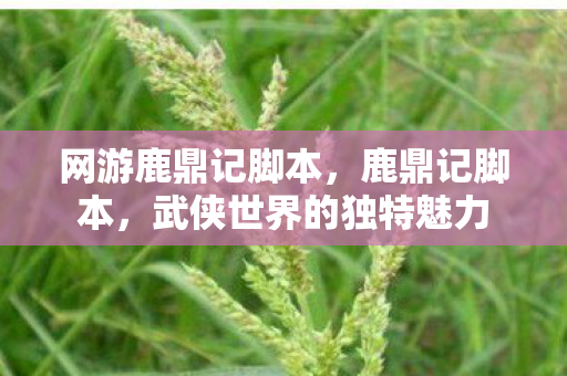 网游鹿鼎记脚本，鹿鼎记脚本，武侠世界的独特魅力