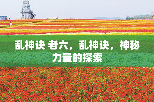 乱神诀 老六，乱神诀，神秘力量的探索