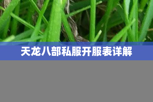 天龙八部私服开服表详解