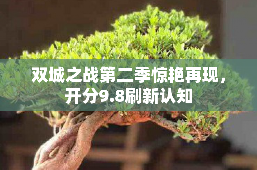 双城之战第二季惊艳再现，开分9.8刷新认知