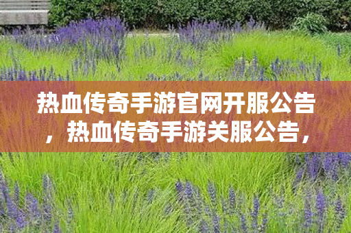 热血传奇手游官网开服公告，热血传奇手游关服公告，一段传奇的终结