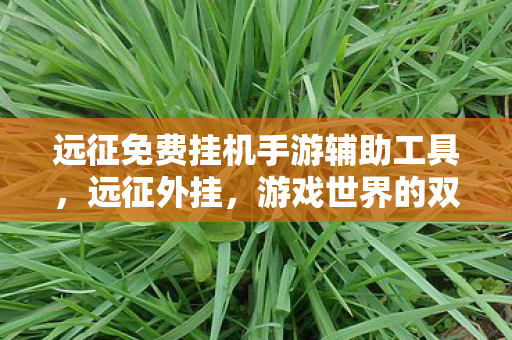 远征免费挂机手游辅助工具，远征外挂，游戏世界的双刃剑