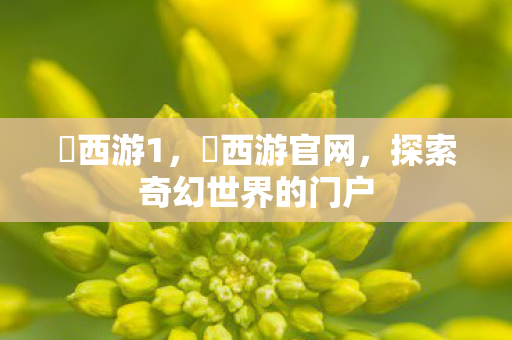 囧西游1，囧西游官网，探索奇幻世界的门户