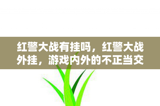 红警大战有挂吗，红警大战外挂，游戏内外的不正当交锋