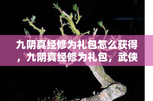 九阴真经修为礼包怎么获得，九阴真经修为礼包，武侠世界的神秘宝藏