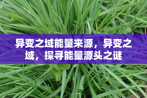 异变之域能量来源，异变之域，探寻能量源头之谜
