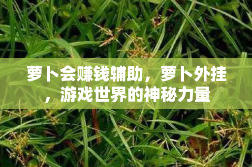 萝卜会赚钱辅助，萝卜外挂，游戏世界的神秘力量