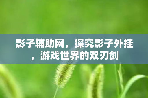 影子辅助网，探究影子外挂，游戏世界的双刃剑