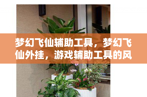 梦幻飞仙辅助工具，梦幻飞仙外挂，游戏辅助工具的风险与警示