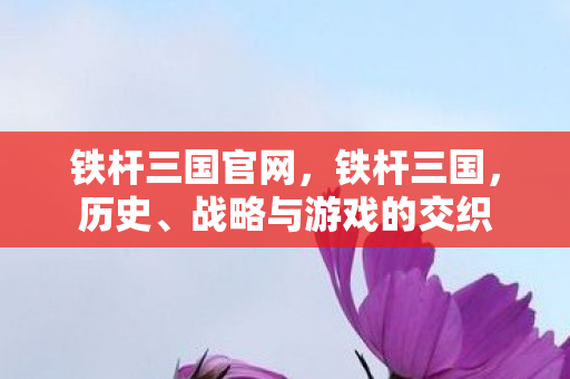 铁杆三国官网，铁杆三国，历史、战略与游戏的交织