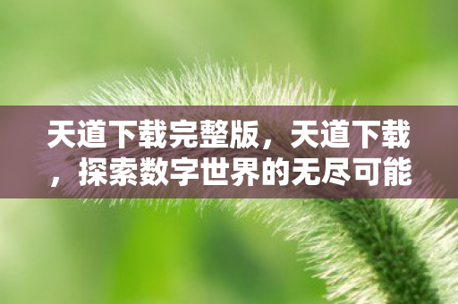天道下载完整版，天道下载，探索数字世界的无尽可能