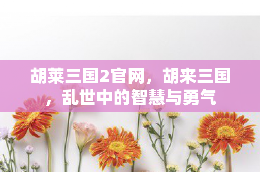 胡莱三国2官网，胡来三国，乱世中的智慧与勇气