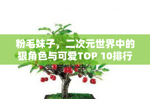 粉毛妹子，二次元世界中的狠角色与可爱TOP 10排行榜