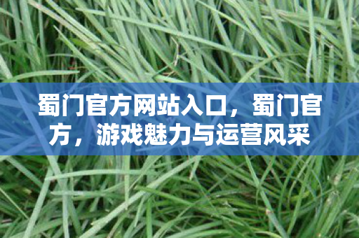 蜀门官方网站入口，蜀门官方，游戏魅力与运营风采