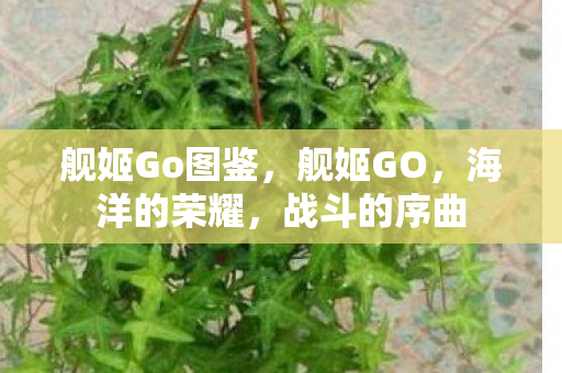 舰姬Go图鉴，舰姬GO，海洋的荣耀，战斗的序曲