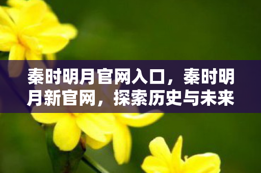 秦时明月官网入口，秦时明月新官网，探索历史与未来的交汇点