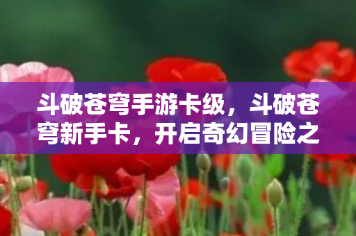 斗破苍穹手游卡级，斗破苍穹新手卡，开启奇幻冒险之旅
