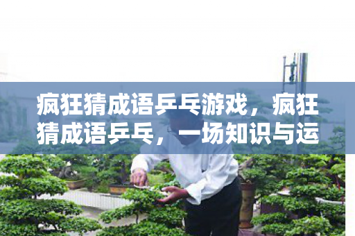 疯狂猜成语乒乓游戏，疯狂猜成语乒乓，一场知识与运动的完美结合