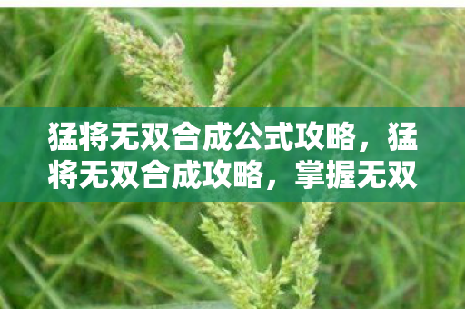 猛将无双合成公式攻略，猛将无双合成攻略，掌握无双合成公式