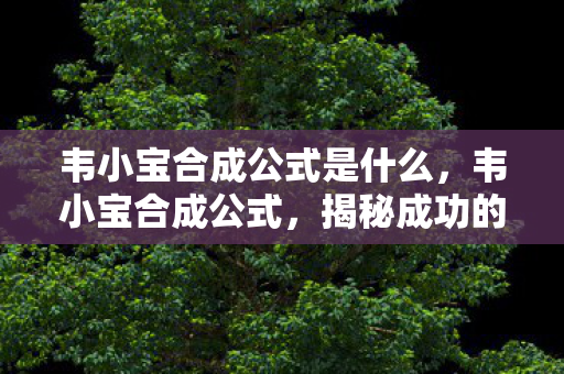 韦小宝合成公式是什么，韦小宝合成公式，揭秘成功的秘密武器