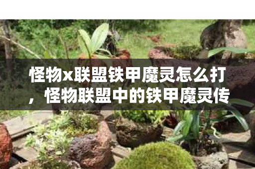 怪物x联盟铁甲魔灵怎么打，怪物联盟中的铁甲魔灵传奇