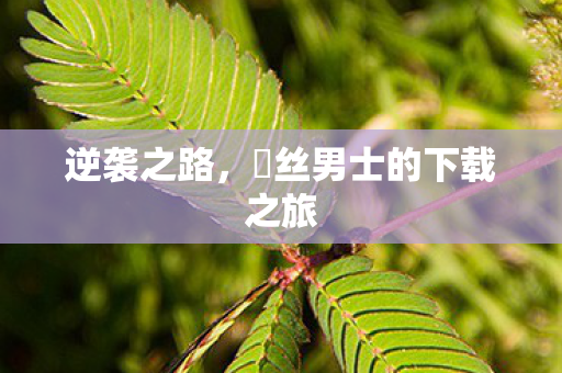 逆袭之路，屌丝男士的下载之旅