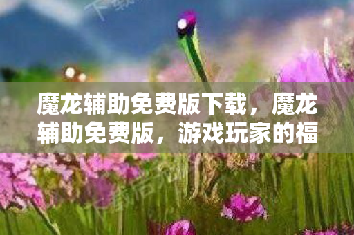魔龙辅助免费版下载，魔龙辅助免费版，游戏玩家的福音