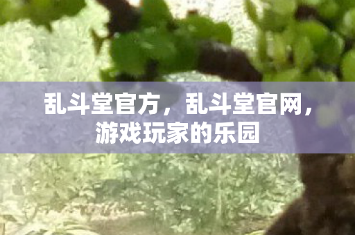 乱斗堂官方，乱斗堂官网，游戏玩家的乐园