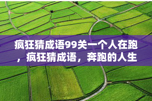 疯狂猜成语99关一个人在跑，疯狂猜成语，奔跑的人生