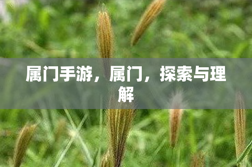 属门手游，属门，探索与理解