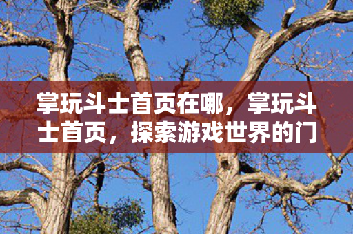掌玩斗士首页在哪，掌玩斗士首页，探索游戏世界的门户