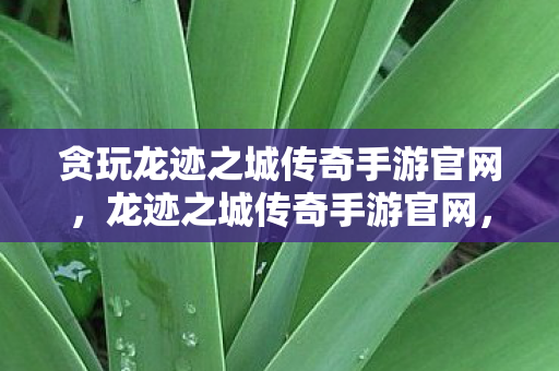 贪玩龙迹之城传奇手游官网，龙迹之城传奇手游官网，探索神秘世界的门户