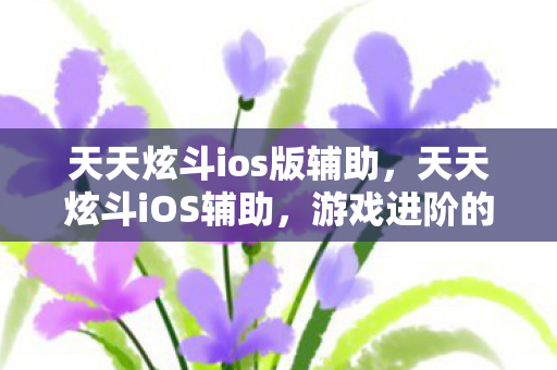 天天炫斗ios版辅助，天天炫斗iOS辅助，游戏进阶的得力助手