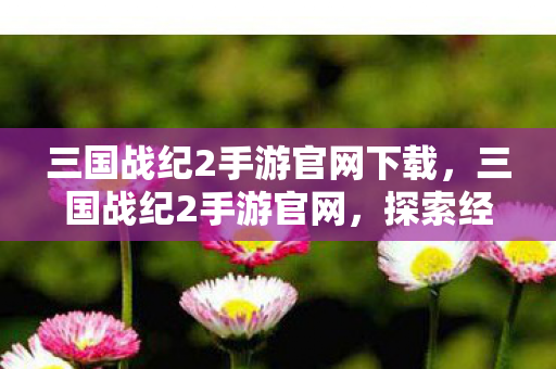 三国战纪2手游官网下载，三国战纪2手游官网，探索经典的游戏世界