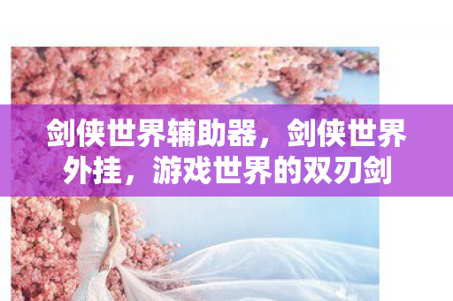 剑侠世界辅助器，剑侠世界外挂，游戏世界的双刃剑