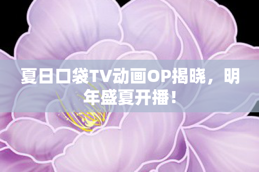 夏日口袋TV动画OP揭晓，明年盛夏开播！