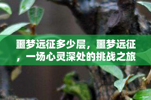 噩梦远征多少层，噩梦远征，一场心灵深处的挑战之旅