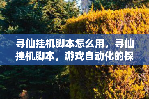 寻仙挂机脚本怎么用，寻仙挂机脚本，游戏自动化的探索之旅
