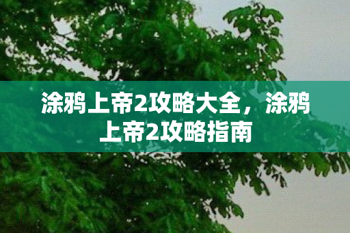 涂鸦上帝2攻略大全，涂鸦上帝2攻略指南